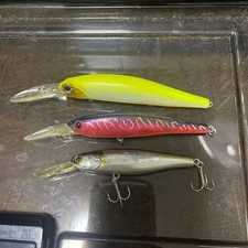 Jackal Dowzbidou 90 Squirrel Eergreen LB Roller