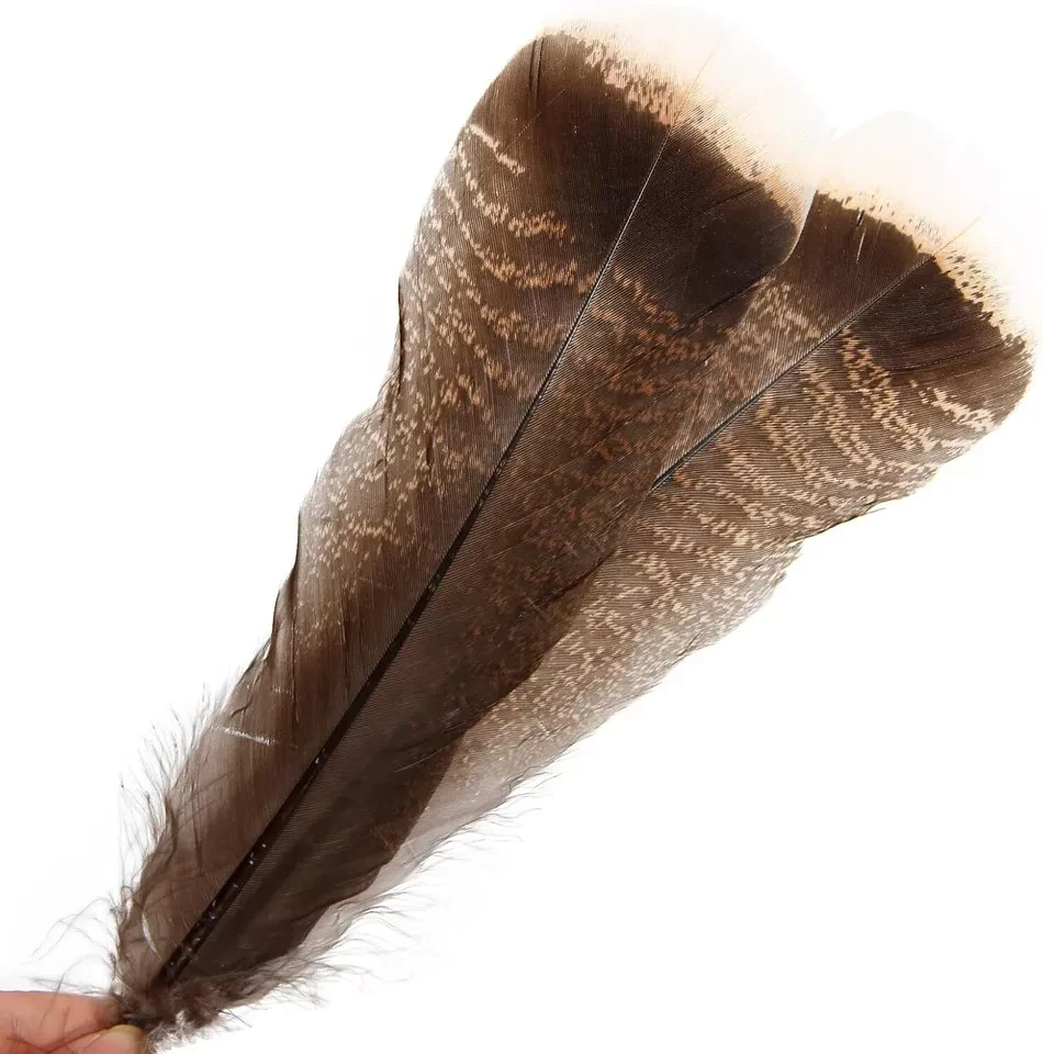 24Pcs Natural Wild Turkey Tails Feathers Quill Bulk 6-8 Inch 15-20Cm for DIY