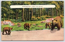 Postcard Woodland Pals - Won't You Join Us? Mother Bear With Cubs Unposted
