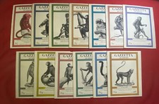 GAZZETTA DEL BIBLIOFILO  SERIE dal n. 1 al n. 15 (-2) FMR 1982/1985 Libro antico