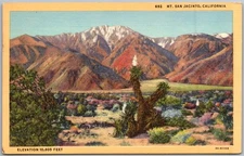 Vintage Linen Postcard Snowy Mountains Desert Scene California, Usa 1930s