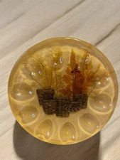 VINTAGE MCM Lucite Deviled Egg Plate Tray  8.5” Cottagecore