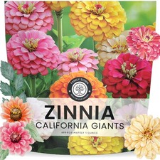 Zinnia California Giants - Large 1 Ounce Packet - 3,000 Flower Seeds for Plan... 281.44 per gallon