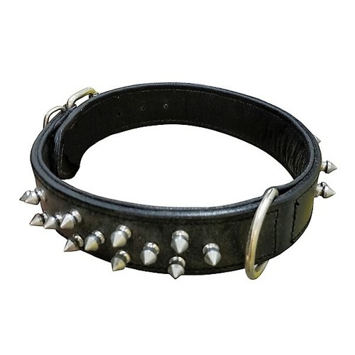 Collar cuero doble con pinchos para perros negro cm | eBay