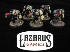 Warhammer 40K Space Marines - Terminator Squad painted oop plastic