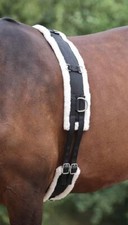 Shires Nylon Roller With Fleece Padding - Black