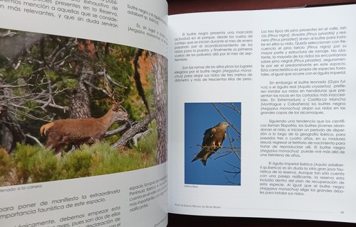 ESPACIOS NATURALES PROVINCIA DE AVILA 124 PAGS LUJO TAPA DURA ED 2015 DIPUTACIÓN - Imagen 2 de 4