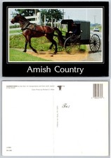 Vintage Amish Country Buggy Horse Carriage Postcard Modern-Ad PA