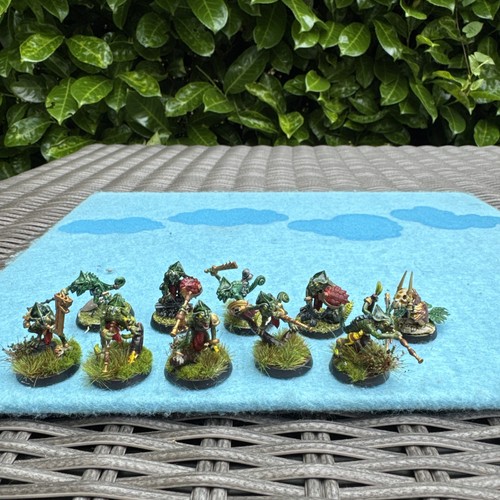 10 Hunters of Huanchi + 3 terrawing + cards Warhammer warcry Seraphon Painted - Picture 14 of 23