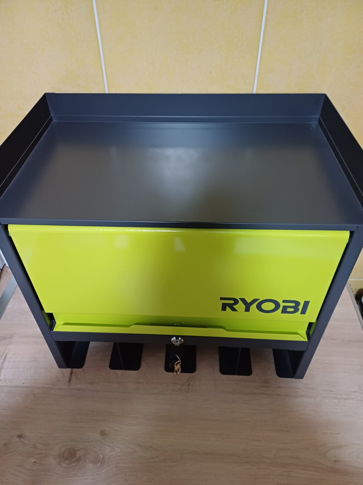 Ryobi Wall Mounted with Door RHWS01 5132004358 eBay