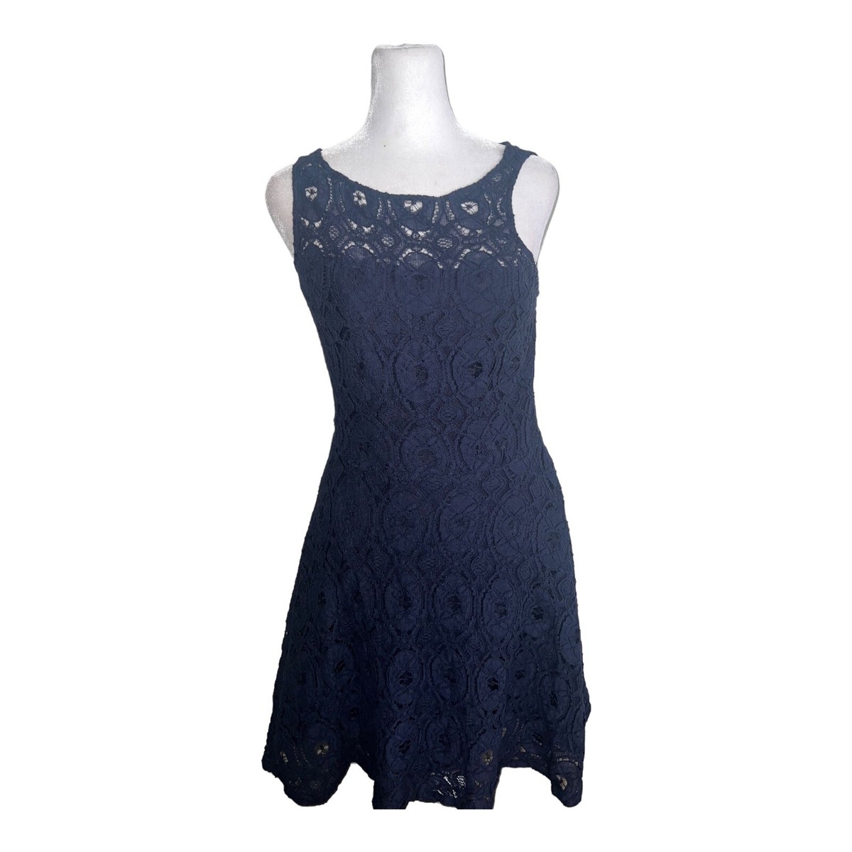 BB DAKOTA Renley Lace Fit and Flare Dress Blue navy Sleeveless