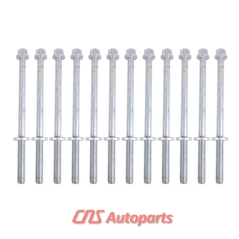 Head Gasket Set Bolt Timing Belt Water pump For 99-03 Subaru 2.5 SOHC EJ251 /2 Foto 3 de 4