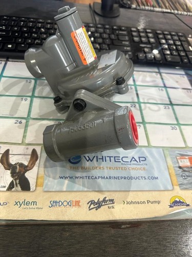 Regolatore di pressione gas riscaldatore a gas portatile ITRON: tubi e regolatori - Foto 5 di 6