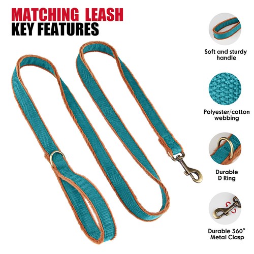 Double-Sided Strong Dog Leash Padded Handle 5ft for Small Large Dogs Walking - 第 18/22 張圖片