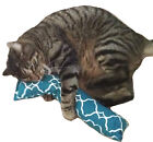 15" Catnip Cat Kicker Toy (Catnip Kicker Toy filled with 1 oz Canadian Catnip)