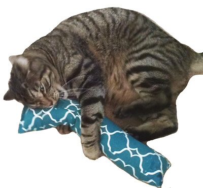 #ad 15quot; Catnip Cat Kicker Toy Catnip Kicker Toy filled with 1 oz Canadian Catnip $13.49