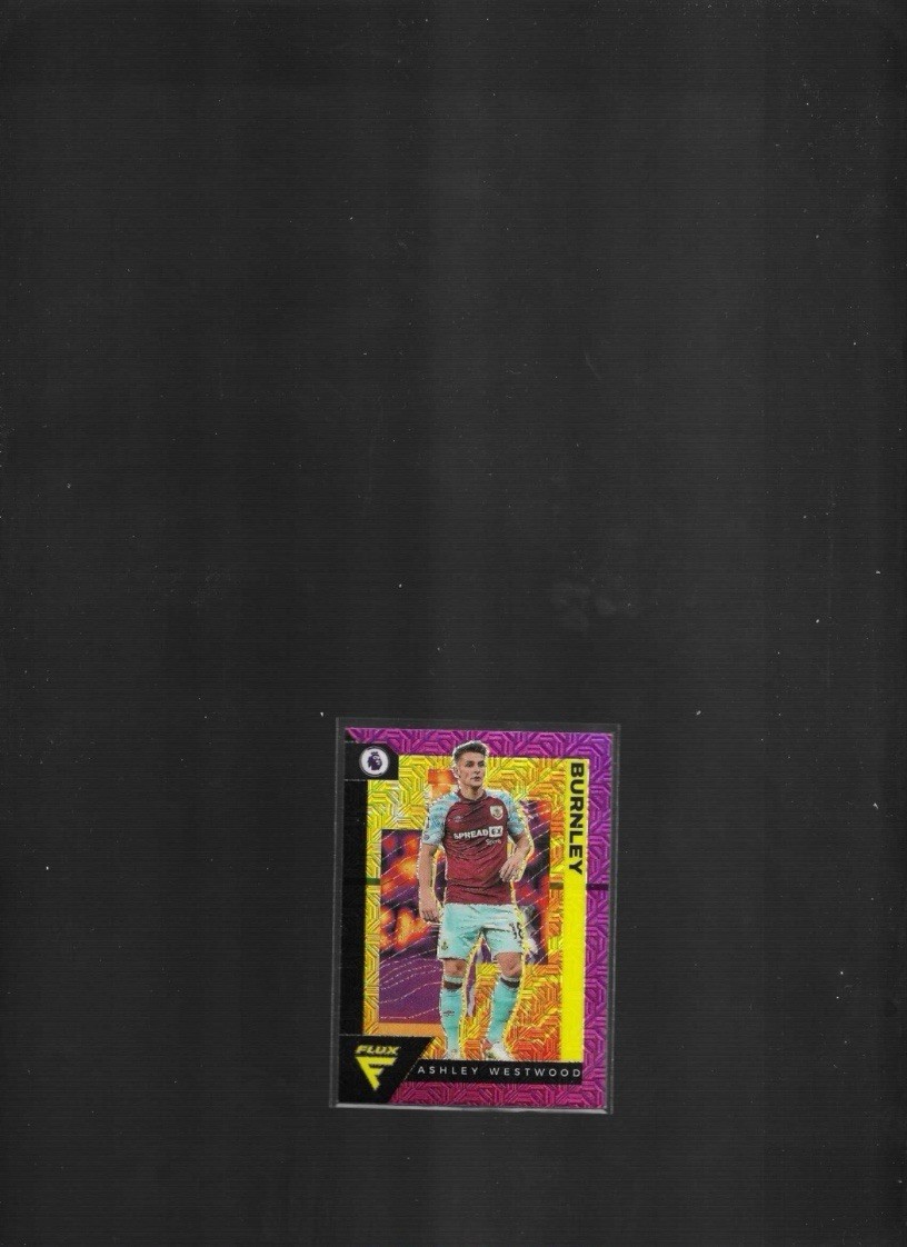 2021-22 Panini Chronicles - Base Chronicles Premier League Flux Ashley Westwood