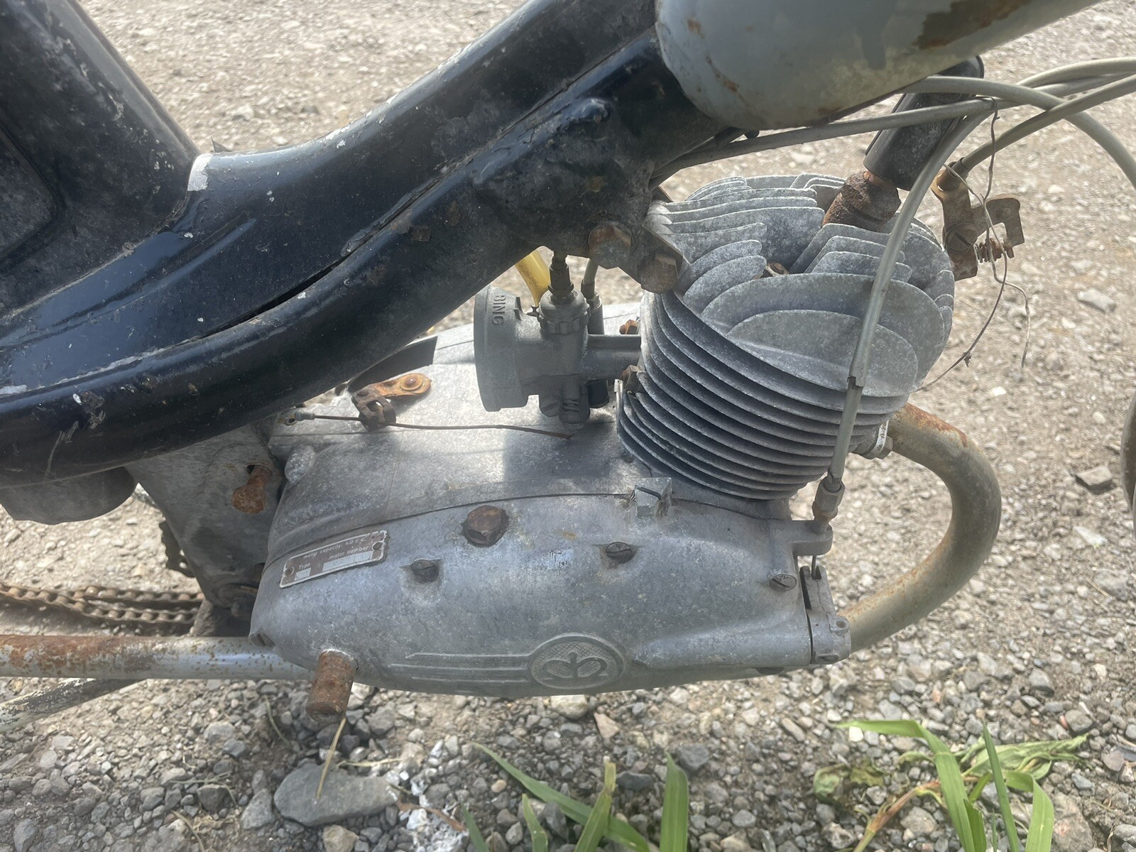 Phillips Panda 50cc Moped Scooter project original dateless reg number included eBay