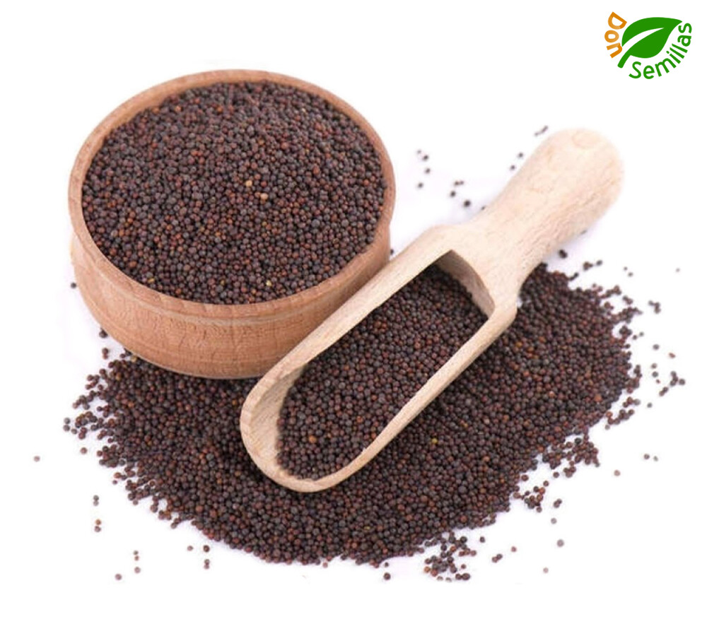 Mostaza marron ( Brassica juncea ) 100 Gr / +25.000 semillas india salsa abono