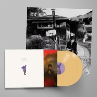 Sharon Van Etten: We've Been Going About This All Wrong -Deluxe Edition- - 375