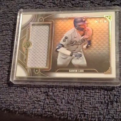 Topps Triple Threads Single Jumbo Relics Gavin Lux Amethyst Dodgers SJR2-GL /36