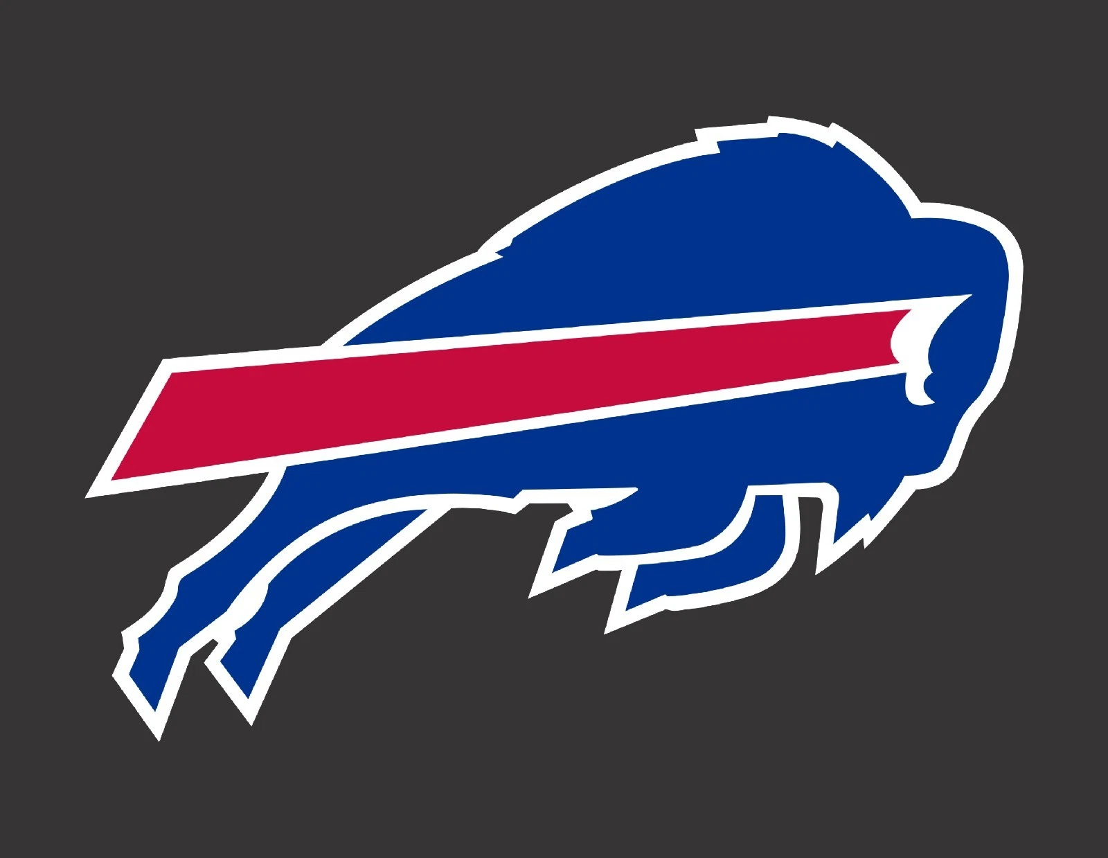 New With Tags / Buffalo Bills T-Shirt