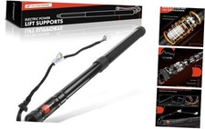 Rear Left Power Hatch Lift Support Compatible with Lexus RX350 RX450h 2016