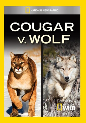 #ad Cougar V. Wolf DVD $31.18