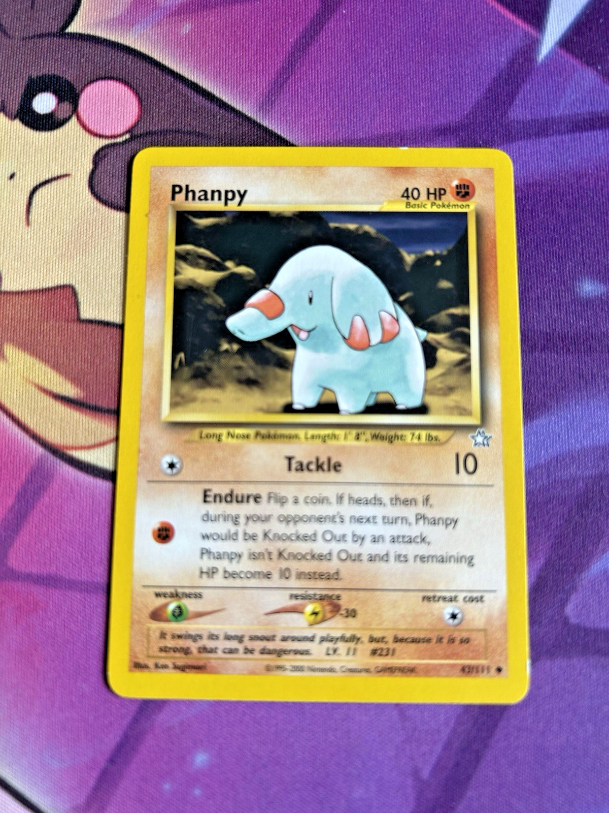Phanpy - 43/111 [Neo Genesis] Pokemon TCG - Uncommon Pokemon Card - LP