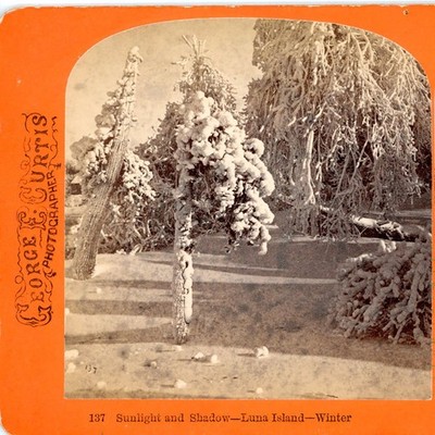 Sunlight & Shadow Luna Island in Winter Niagara Falls NY Curtis Stereoview