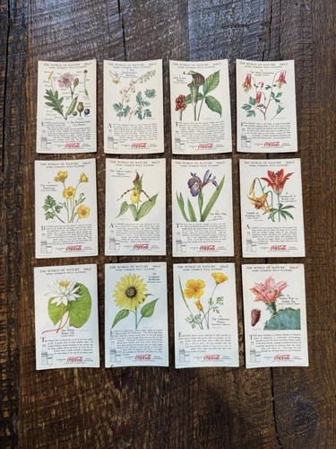 VTG 1930s Coca Cola Collector Cards The World Of Nature Series 4 Complete Coke
