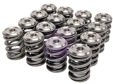 Skunk2 Alpha Valve Spring & Titanium Retainer Kit for Honda B16 B17 B18 VTEC