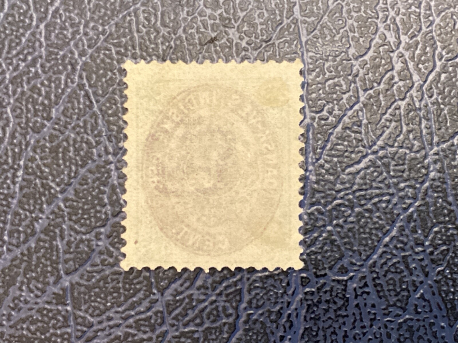 Picture 2