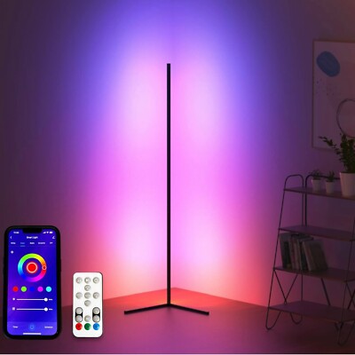 Metal LED RBGIC 56  Modern Floor Lamp