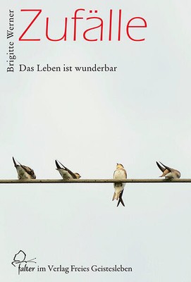 Zufälle | Brigitte Werner | 2017 | deutsch