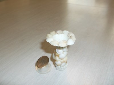 Artist Made Dollhouse Miniature Fairy Garden Coastal Shell Bird Bath -1:12 Scale