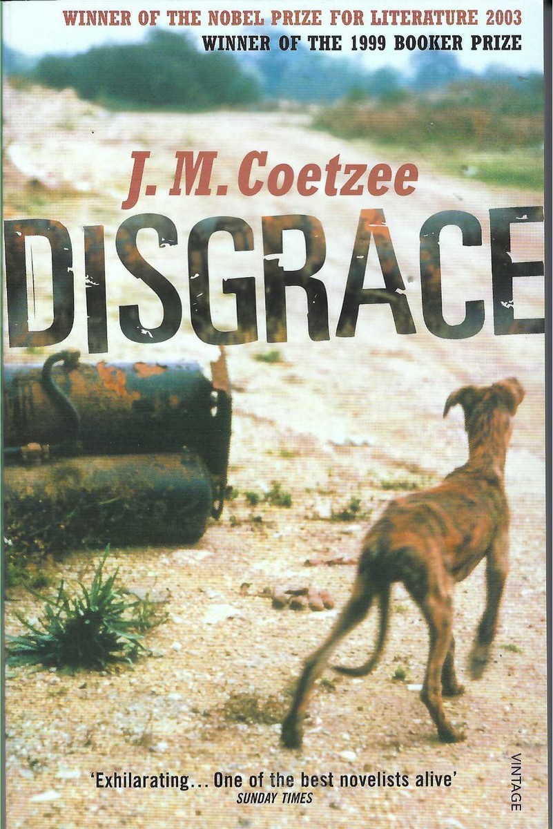 DISGRACE J.M. COETZEE/VINTAGE 1999 MODERN SOUTH AFRICAN FICTION PB PRE-OWNED