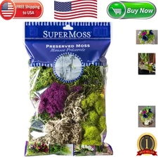 Quality Mixed Moss Collection - Elegant Home & Craft Decor, 120 cu.in.