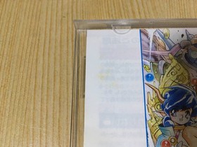 Dragon Master Silk Sega Saturn SS Retro Rare Good Used Game NTSC-J Japan JP