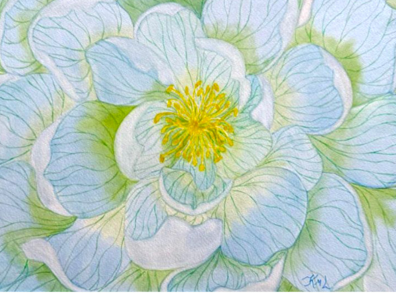 PAINTING WATERCOLOR 11X14 AND DOUBLE MAT 16X20 FLOWER POPPY BLUE GREEN YELLOW