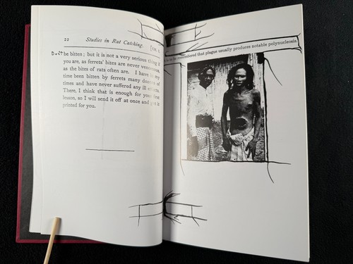 Rat Catching 1999 Crispin Hellion Glover SIGNED Volcanic Eruptions Willard 2nd - Picture 6 of 12