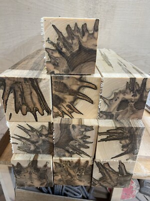 1 Pc. Premium  Ambrosia Maple  turning pc 3x3x12  CLEAN!!!