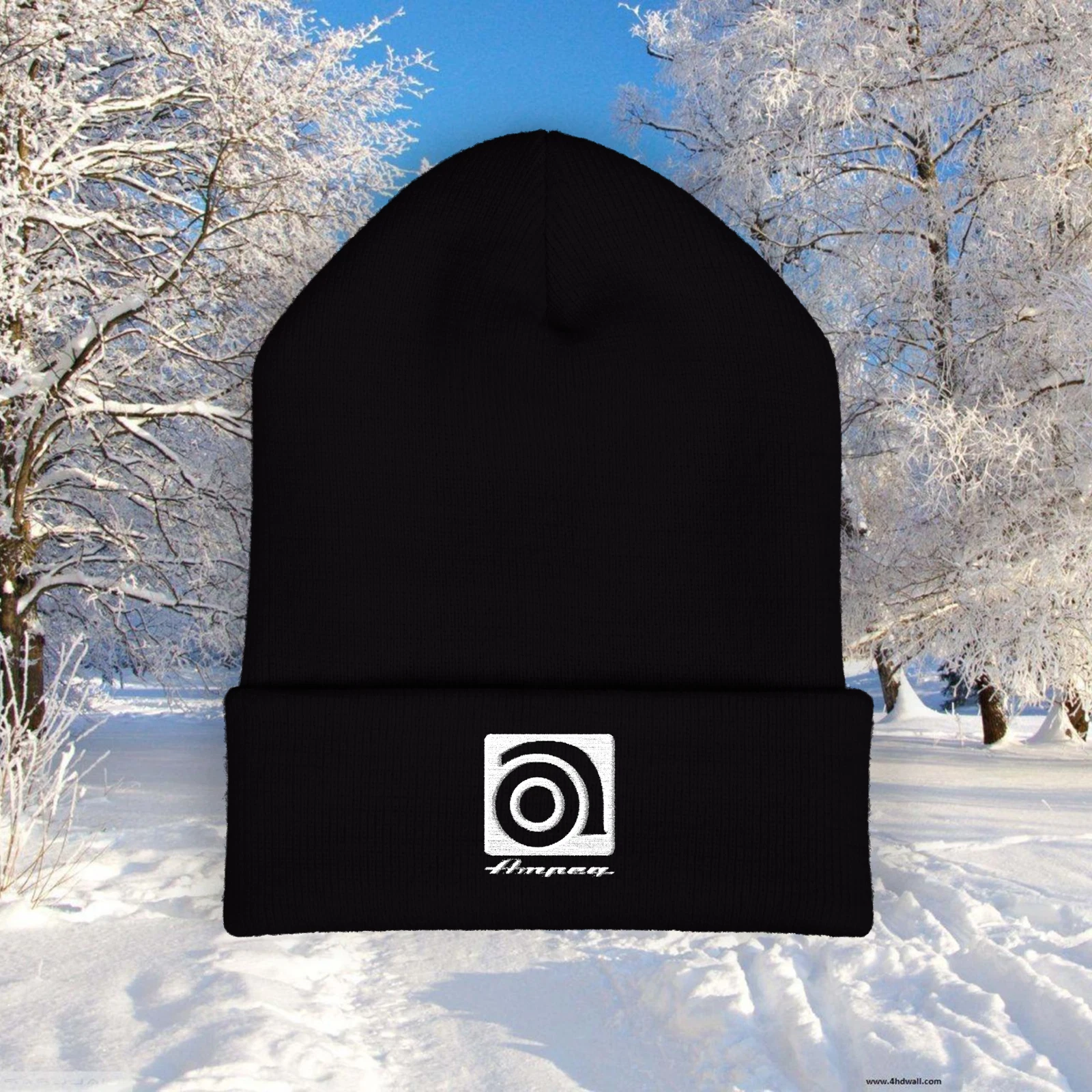 Ampeg Music Black Beanie Hat Size Adult