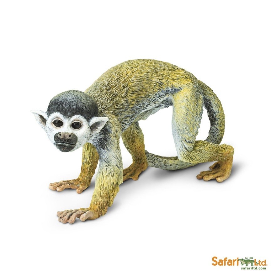 Safari Ltd 269829 Skull Monkey 15 Cm Series Wildlife
