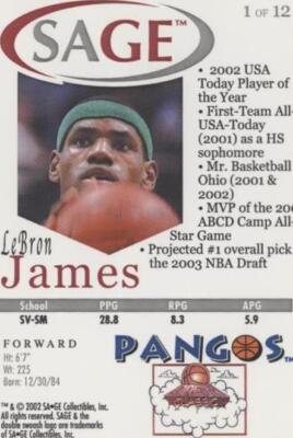 その他 2002 Lebron James Proto SPA GEM MINT 10 2002 Rookie Review Lebron James GEM Mint Grading 10 | eBay