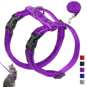 small kitten harness