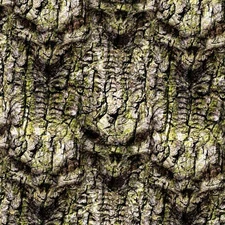 Skull Tree Camo 22 - 18"x46" Hydrographic Film Hydro Dipping