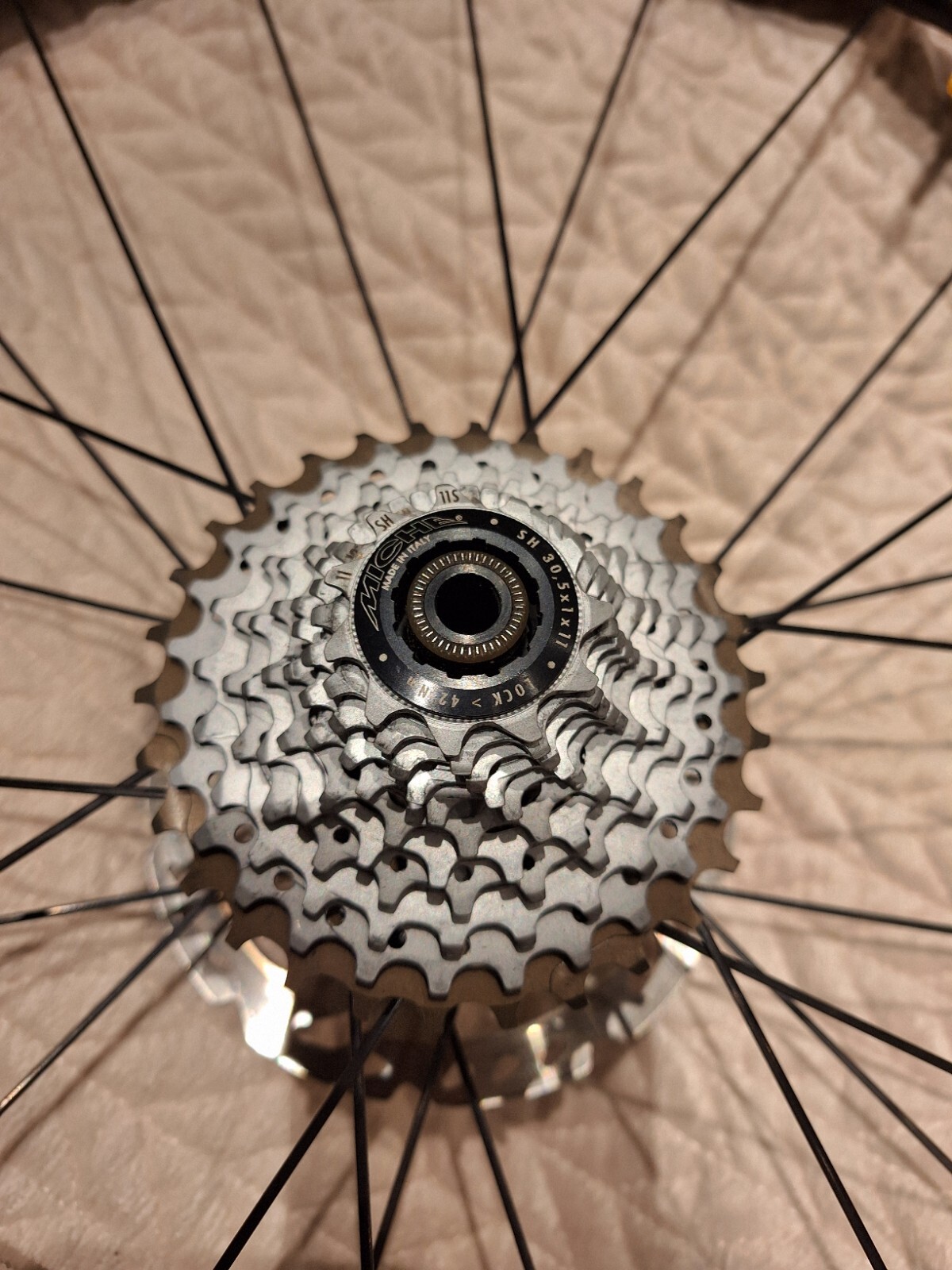 dt swiss r23 spline disc