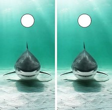 C259 Shark Cornhole Board Wrap LAMINATED Wraps Decals Vinyl Sticker