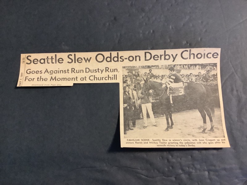 SEATTLE SLEW Original 1977 Daily Racing Form Clipping Horse  Racing